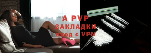 СК Ельня