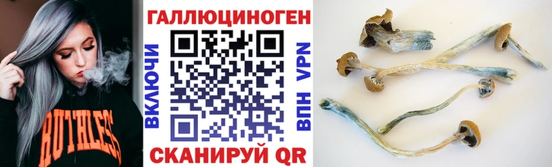 что такое наркотик  Гатчина  Псилоцибиновые грибы Magic Shrooms 